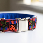 ColorPop™ Neck Collar