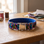 ColorPop™ Neck Collar