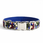 ColorPop™ Neck Collar