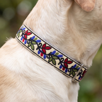 ColorPop™ Martingale Collar
