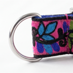 ColorPop™ Martingale Collar