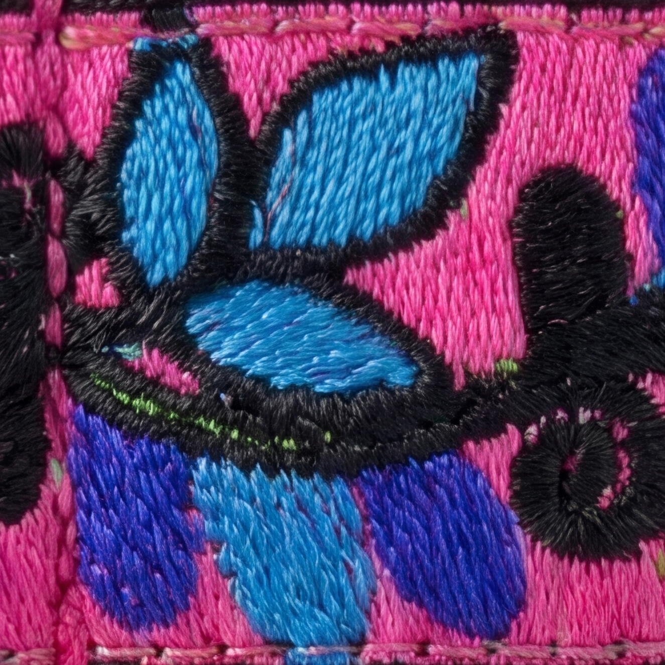 ColorPop™ Martingale Collar