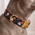 Spooky Parade™ Neck Collar