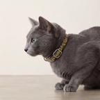Cat Neck Collar