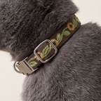 Cat Neck Collar