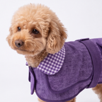 A small tan dog wearing a purple herringbone-patterned pet coat with a purple and white gingham collar, photographed against a clean white studio background.