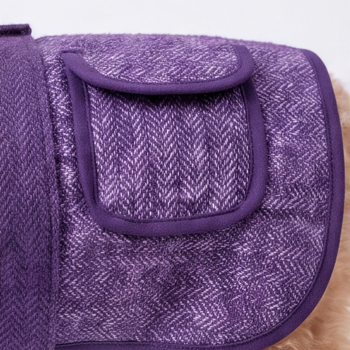 A close-up of a purple herringbone-patterned dog coat with a matching elastic strap and a front flap pocket, shown on a small dog against a white background.
