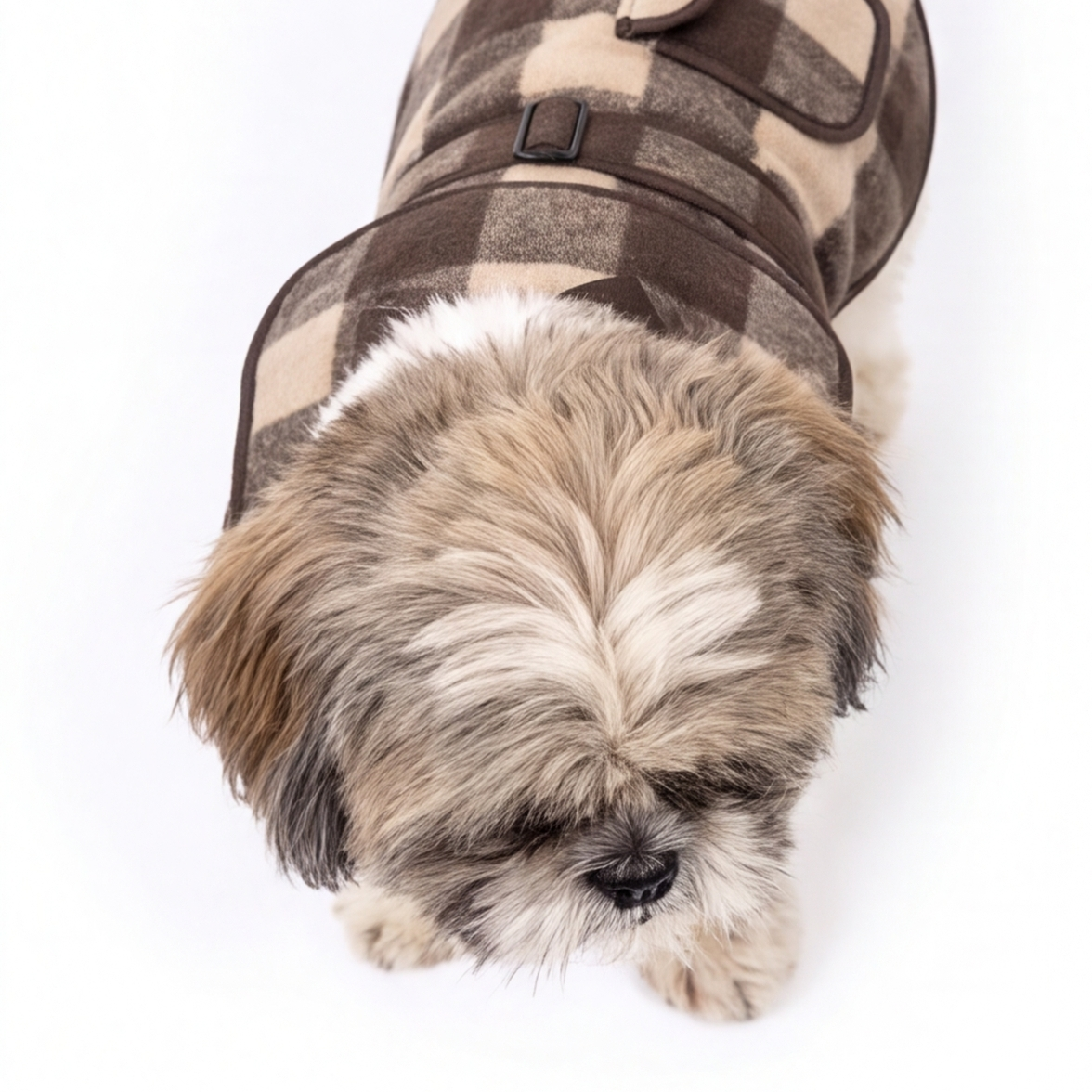 A small fluffy dog wearing a brown and beige plaid pet coat, photographed from above on a clean white background.