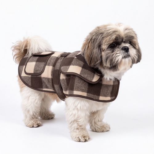A small fluffy dog wearing a brown and beige plaid pet coat, standing against a plain white studio background.