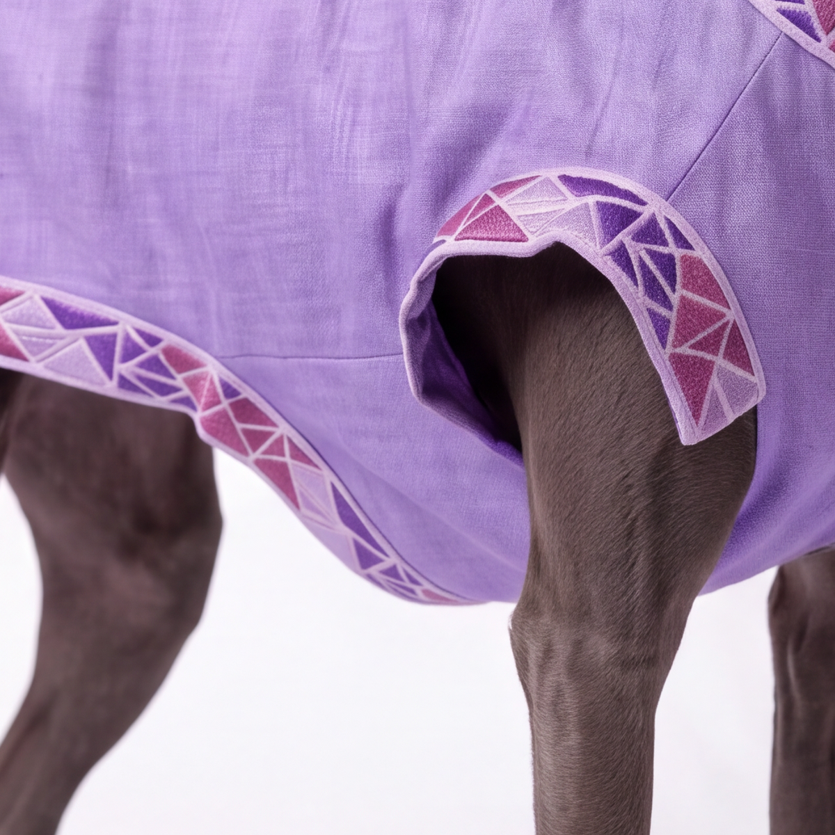 A close-up of a dog wearing a lavender purple horse blanket with a geometric patterned trim in pink, purple, and white.