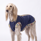 A long-haired light tan dog wearing a navy blue pet coat with colorful floral embroidered trim, photographed against a plain white studio background.