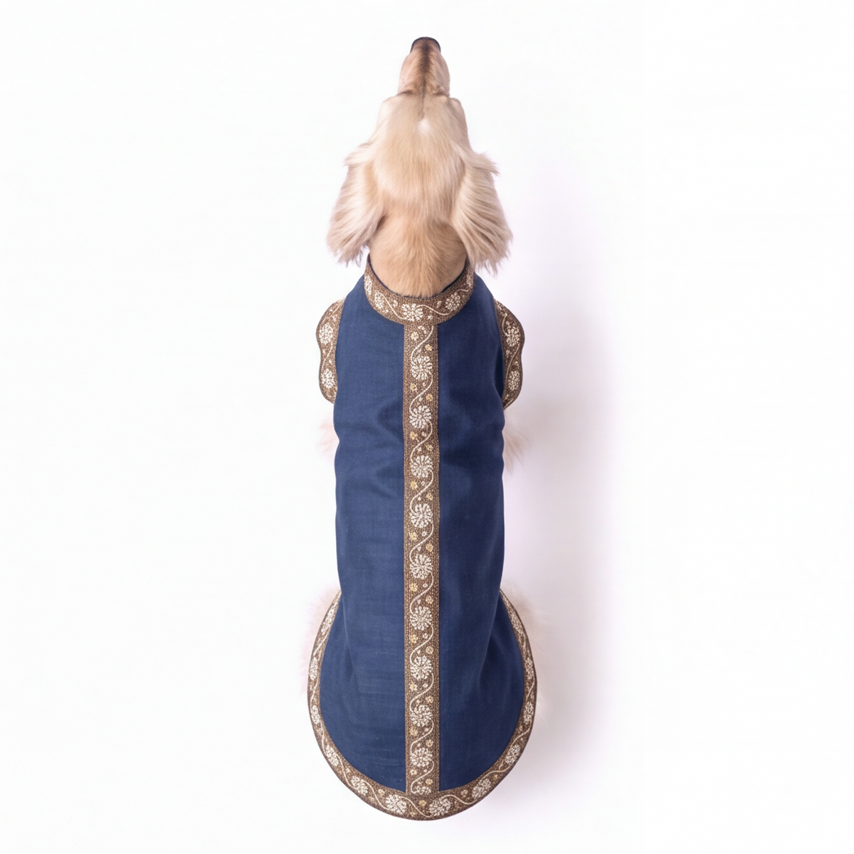 A small light-colored dog viewed from above wearing a navy blue sleeveless pet coat with ornate gold and beige patterned trim along the edges and center front panel, photographed on a plain white background.