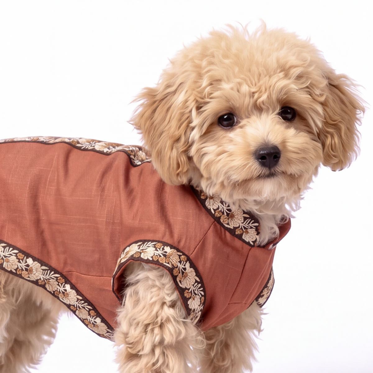 A small fluffy tan dog wearing a rust-brown pet kurta with floral-patterned trim, photographed against a plain white background. Best for Diwali kurta, styliash pet dog. 