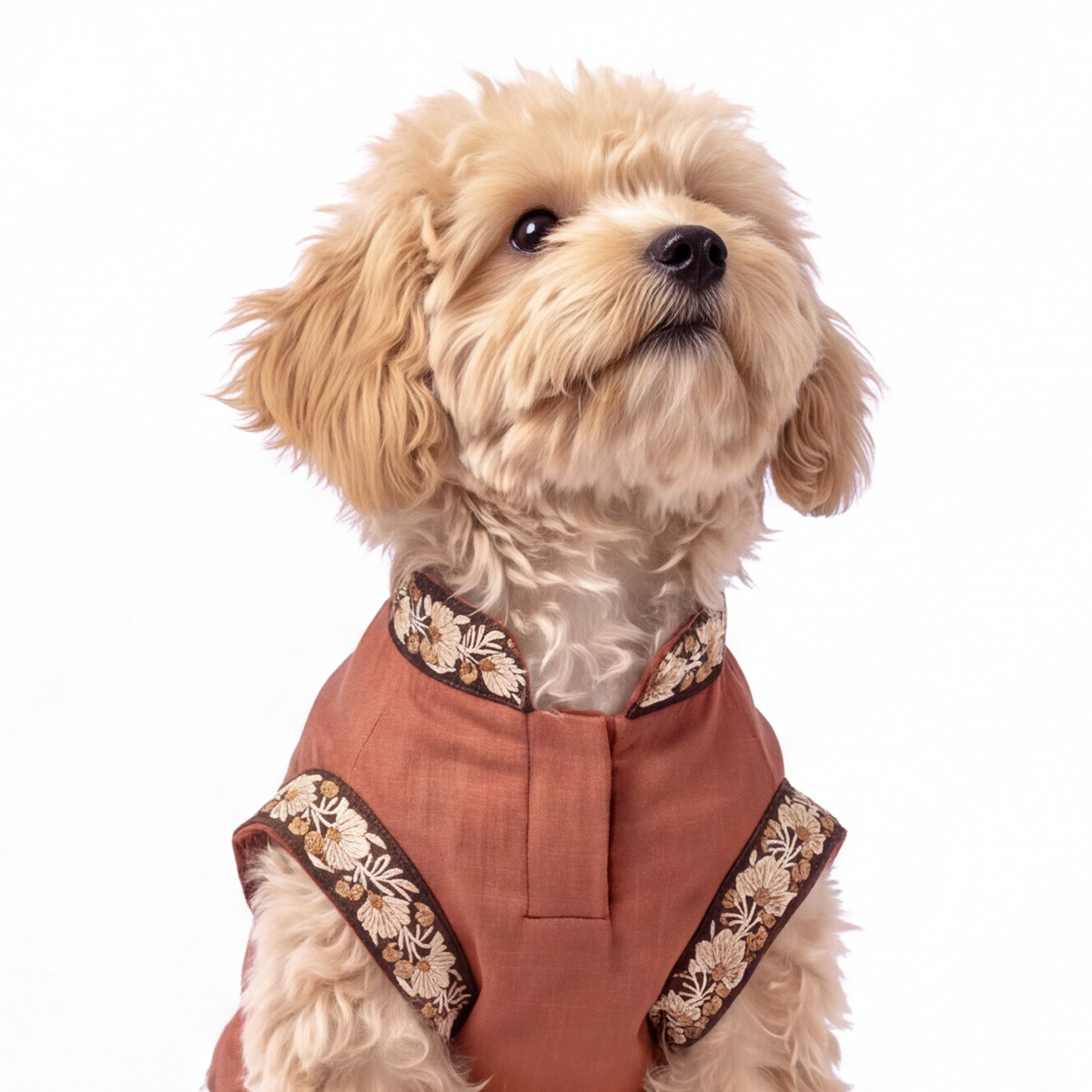 A small fluffy beige dog wearing a rust-colored pet vest with floral-patterned trim, photographed against a plain white background.