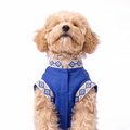 A small fluffy tan dog wearing a blue pet vest with cream and blue geometric patterned trim, photographed against a plain white background.