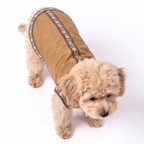 A small fluffy light brown dog wearing a tan dog coat with dark brown patterned trim, photographed on a clean white background.