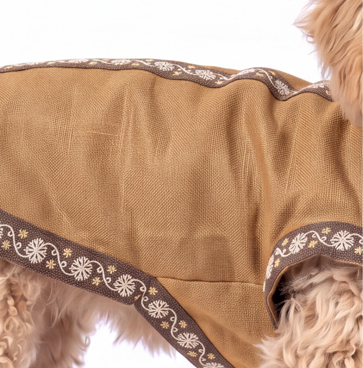 A tan dog coat with a brown and white floral patterned trim, shown on a light-colored dog against a white background.