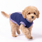 A small fluffy tan dog wearing a navy blue pet vest with pink and blue patterned trim, standing against a plain white studio background.