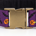 Midnight Pumpkin™ Neck Collar