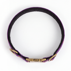 Midnight Pumpkin™ Neck Collar