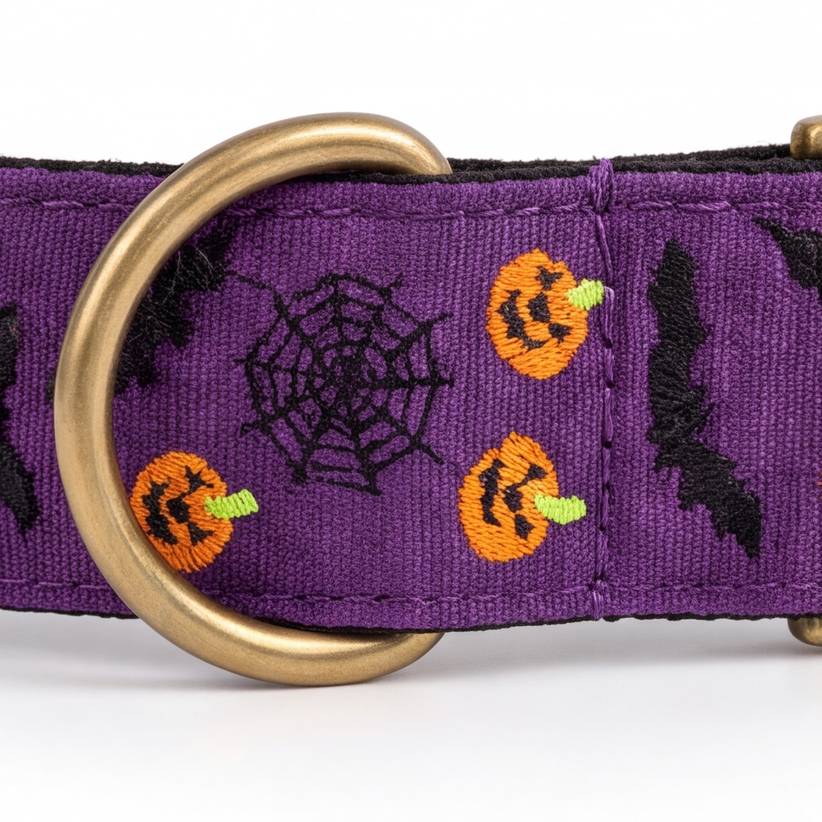 Midnight Pumpkin™ Neck Collar